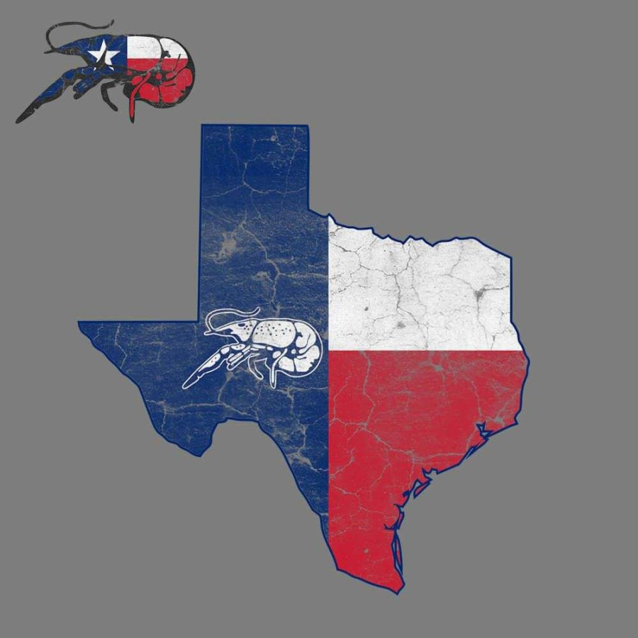 Crawfish * | Official Crawfish Distressed Texas Flag Tee